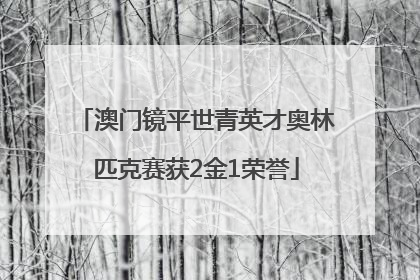 澳门镜平世青英才奥林匹克赛获2金1荣誉