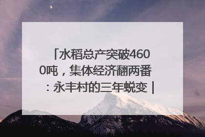 水稻总产突破4600吨，集体经济翻两番：永丰村的三年蜕变｜您牵挂的四川