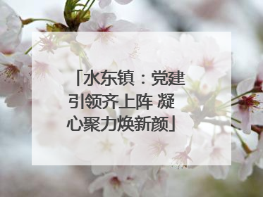 水东镇：党建引领齐上阵 凝心聚力焕新颜
