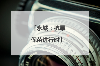 永城：抗旱保苗进行时