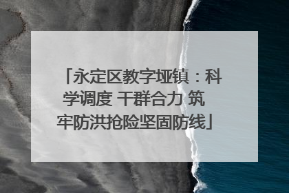 永定区教字垭镇：科学调度 干群合力 筑牢防洪抢险坚固防线