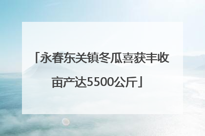 永春东关镇冬瓜喜获丰收 亩产达5500公斤
