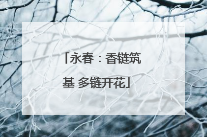 永春：香链筑基 多链开花