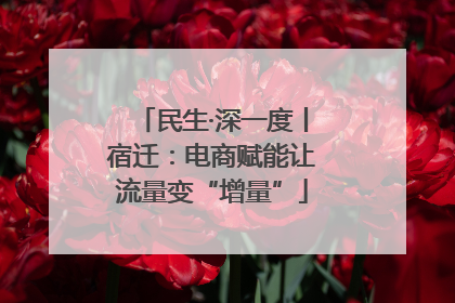 民生·深一度丨宿迁：电商赋能让流量变“增量”