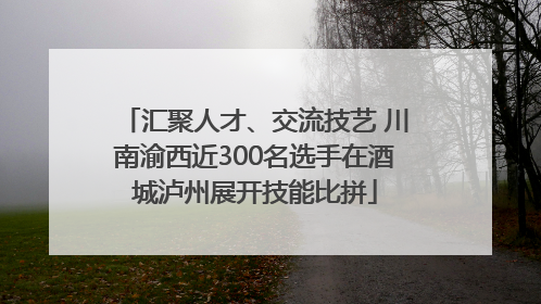 汇聚人才、交流技艺 川南渝西近300名选手在酒城泸州展开技能比拼