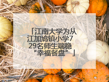 江南大学为从江加鸠镇小学729名师生端稳“幸福餐盘”