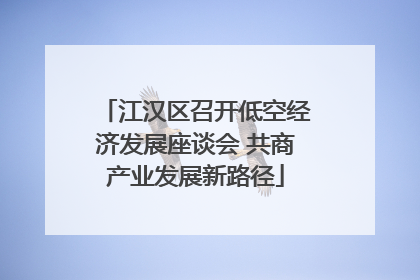 江汉区召开低空经济发展座谈会 共商产业发展新路径