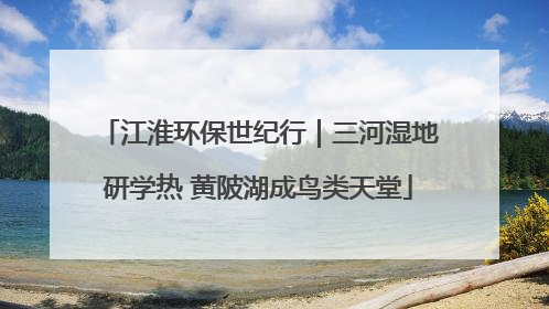 江淮环保世纪行｜三河湿地研学热 黄陂湖成鸟类天堂