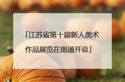 江苏省第十届新人美术作品展览在南通开幕