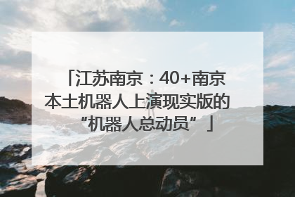 江苏南京：40+南京本土机器人上演现实版的“机器人总动员”