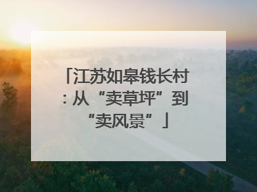 江苏如皋钱长村：从“卖草坪”到“卖风景”