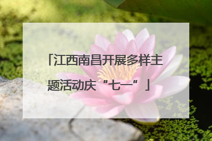 江西南昌开展多样主题活动庆“七一”