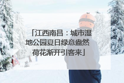 江西南昌：城市湿地公园夏日绿意盎然 荷花渐开引客来