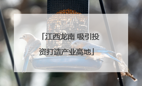 江西龙南 吸引投资打造产业高地