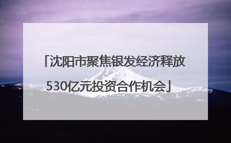 沈阳市聚焦银发经济释放530亿元投资合作机会