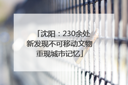 沈阳：230余处新发现不可移动文物重现城市记忆