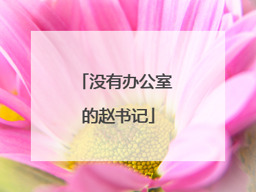 没有办公室的赵书记