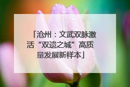 沧州：文武双脉激活“双遗之城”高质量发展新样本