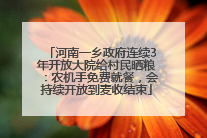 河南一乡政府连续3年开放大院给村民晒粮：农机手免费就餐，会持续开放到麦收结束
