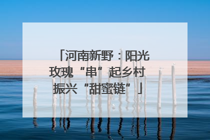 河南新野：阳光玫瑰“串”起乡村振兴“甜蜜链”