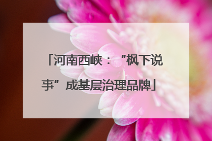河南西峡：“枫下说事”成基层治理品牌