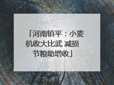 河南镇平：小麦机收大比武 减损节粮助增收