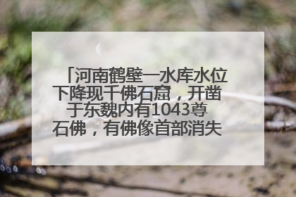河南鹤壁一水库水位下降现千佛石窟，开凿于东魏内有1043尊石佛，有佛像首部消失，水库管理方回应