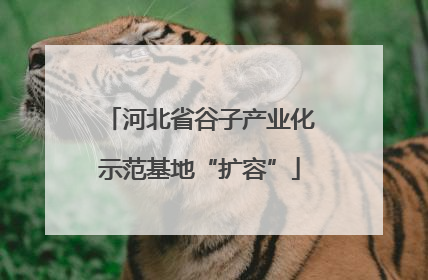 河北省谷子产业化示范基地“扩容”