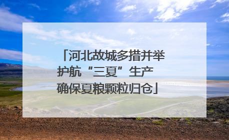 河北故城多措并举护航“三夏”生产 确保夏粮颗粒归仓