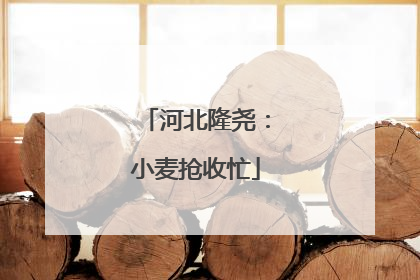 河北隆尧：小麦抢收忙