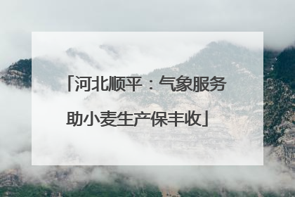 河北顺平：气象服务助小麦生产保丰收