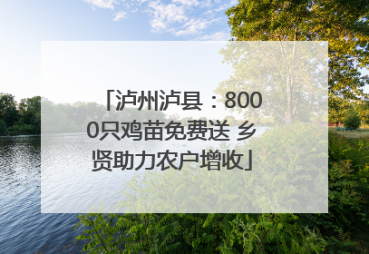 泸州泸县：8000只鸡苗免费送 乡贤助力农户增收