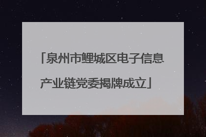 泉州市鲤城区电子信息产业链党委揭牌成立