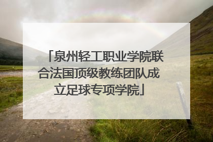 泉州轻工职业学院联合法国顶级教练团队成立足球专项学院