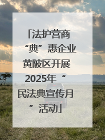 法护营商 “典”惠企业 黄陂区开展2025年“民法典宣传月”活动