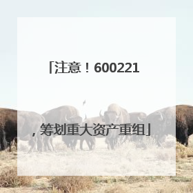注意！600221，筹划重大资产重组