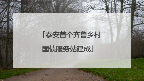 泰安首个齐鲁乡村国债服务站建成