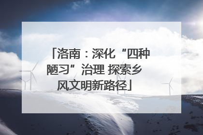 洛南：深化“四种陋习”治理 探索乡风文明新路径