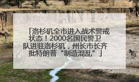 洛杉矶全市进入战术警戒状态！2000名国民警卫队进驻洛杉矶，州长市长齐批特朗普“制造混乱”