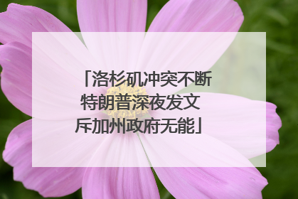洛杉矶冲突不断 特朗普深夜发文斥加州政府无能