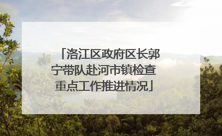 洛江区政府区长郭宁带队赴河市镇检查重点工作推进情况