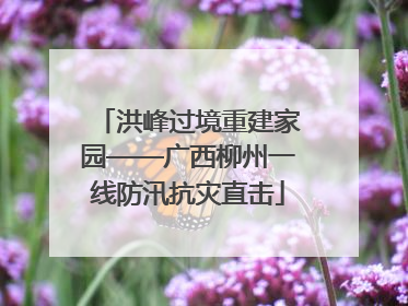 洪峰过境重建家园——广西柳州一线防汛抗灾直击