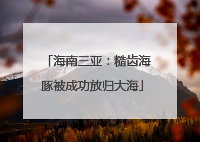 海南三亚：糙齿海豚被成功放归大海