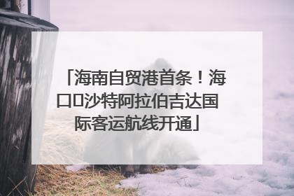 海南自贸港首条！海口⇌沙特阿拉伯吉达国际客运航线开通