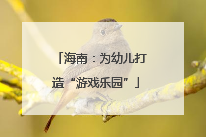 海南：为幼儿打造“游戏乐园”