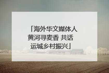 海外华文媒体人黄河寻麦香 共话运城乡村振兴
