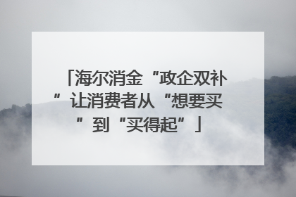 海尔消金“政企双补”让消费者从“想要买”到“买得起”