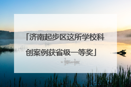 济南起步区这所学校科创案例获省级一等奖