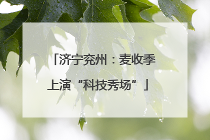 济宁兖州：麦收季上演“科技秀场”