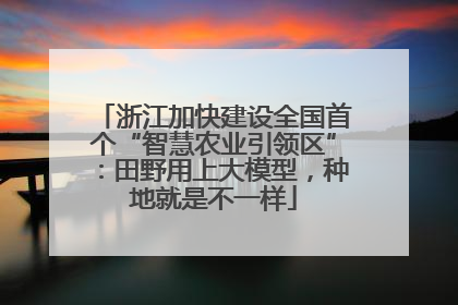 浙江加快建设全国首个“智慧农业引领区”：田野用上大模型，种地就是不一样